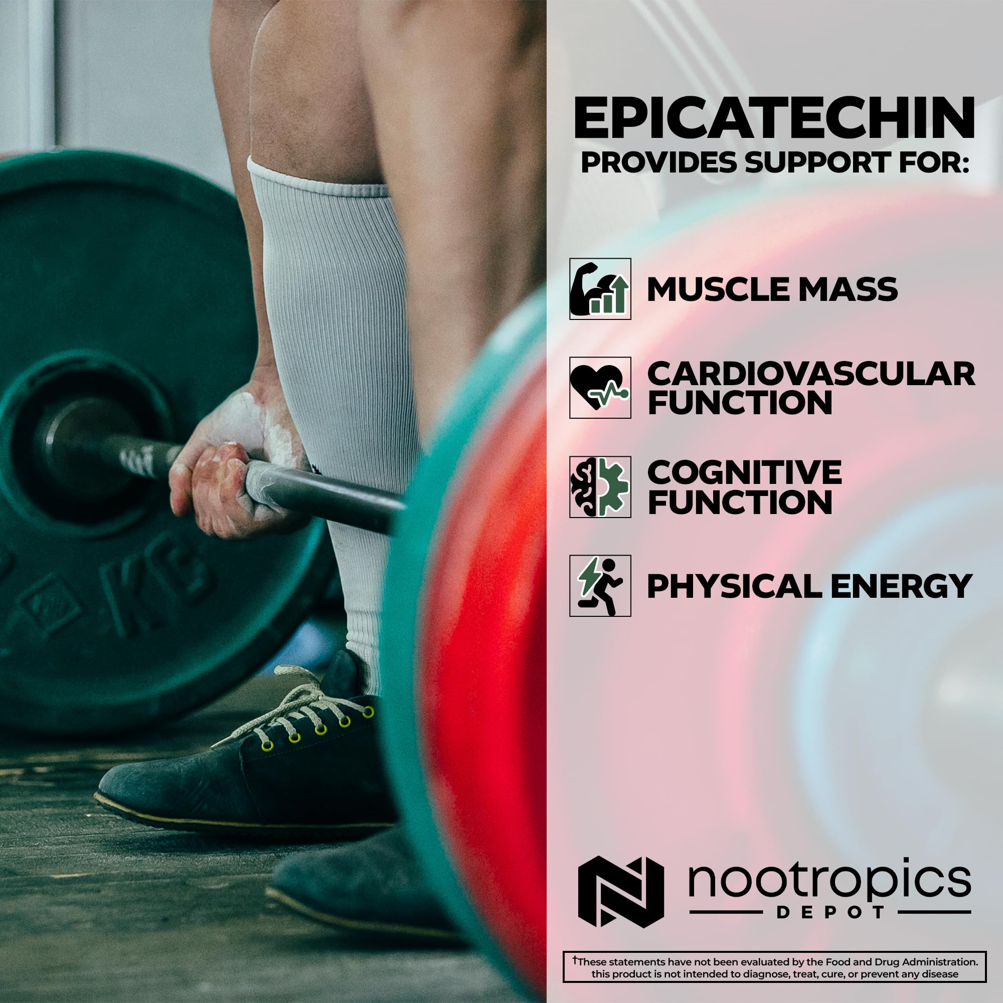 Nootropics Depot Epicatechin tabletas empaque caja, visual de seguridad y calidad.