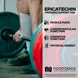 Nootropics Depot Epicatechin tabletas empaque caja, visual de seguridad y calidad.