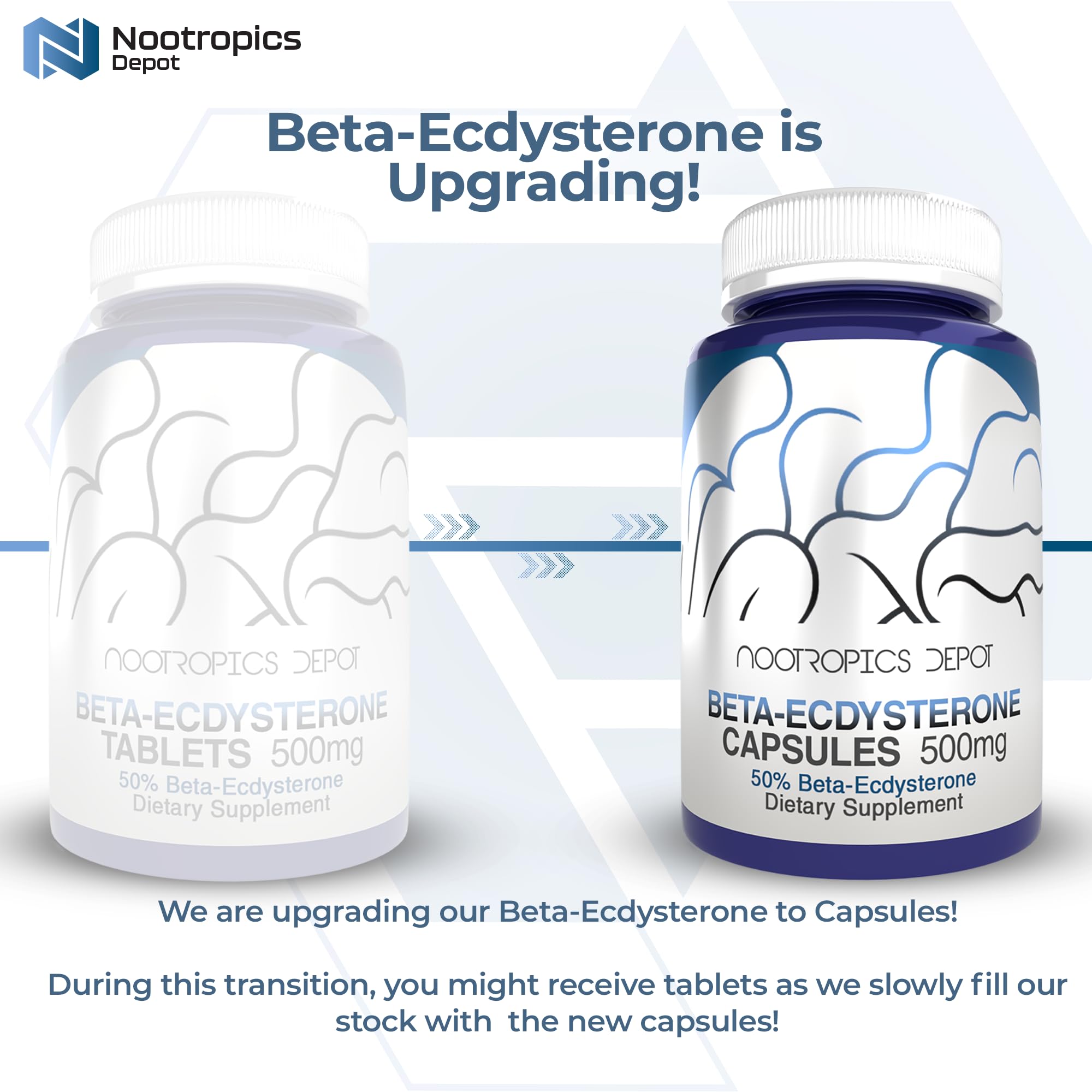 Nootropics Depot fitoecdisteroide, cápsulas, posible rendimiento en rutinas.