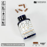 Etiqueta de Nootropics Depot Lions Mane con información de ingredientes
