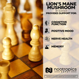 Frasco melena de león Nootropics Depot, soporte digestivo gracias a beta glucanos.