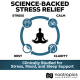 Nootropics Depot Sensoril Ashwagandha, dosificación diaria, ritual para enfoque suave.