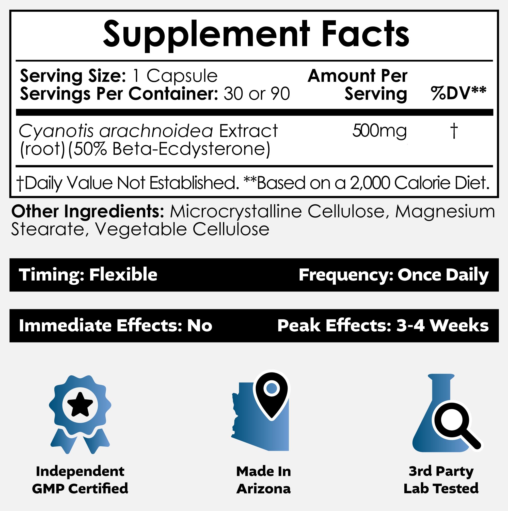 Nootropics Depot tabletas en mano, tamaño 500 mg para dosificación.