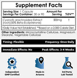 Nootropics Depot tabletas en mano, tamaño 500 mg para dosificación.