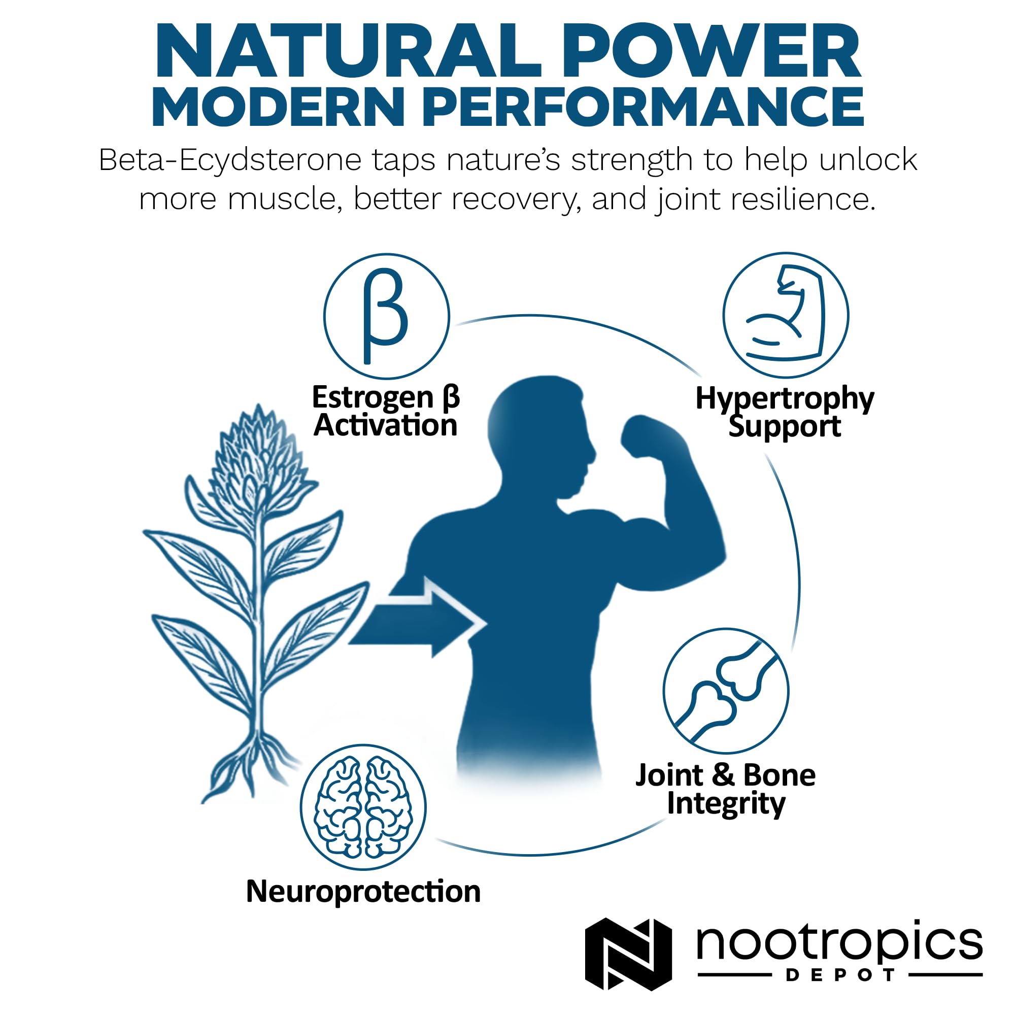 Nootropics Depot uso en entrenamiento, potencial apoyo físico.