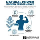 Nootropics Depot uso en entrenamiento, potencial apoyo físico.