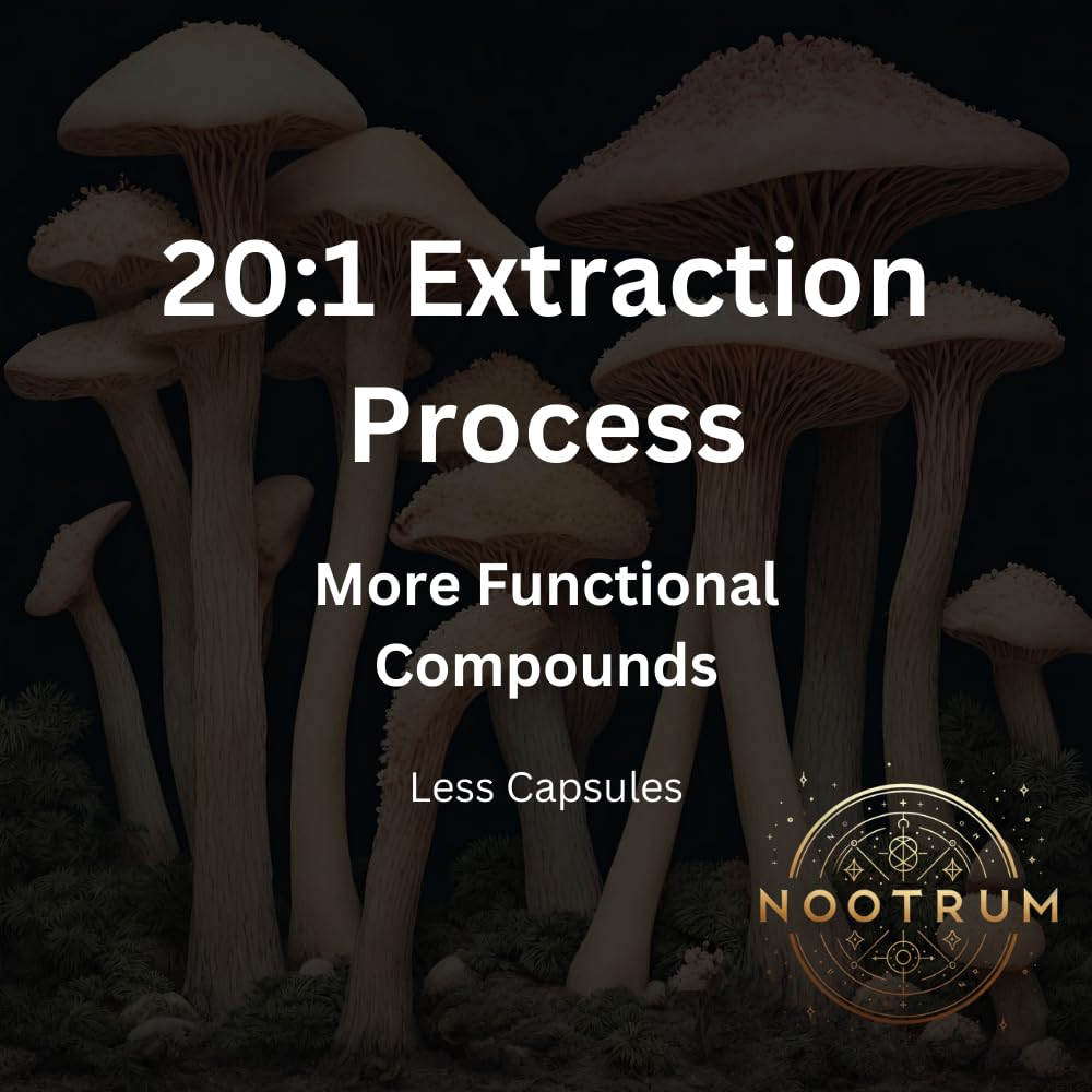 Nootrum Hongos Memoria: mejora la retentiva y aprendizaje en proyectos.