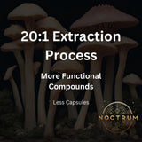 Nootrum Hongos Memoria: mejora la retentiva y aprendizaje en proyectos.