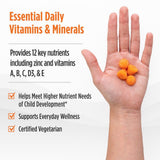 Nordic Naturals Nordic Berries Citrus, etiqueta clara con ingredientes