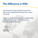 Chaga Tea NORTH AMERICAN HERB & SPICE ritual-relajante