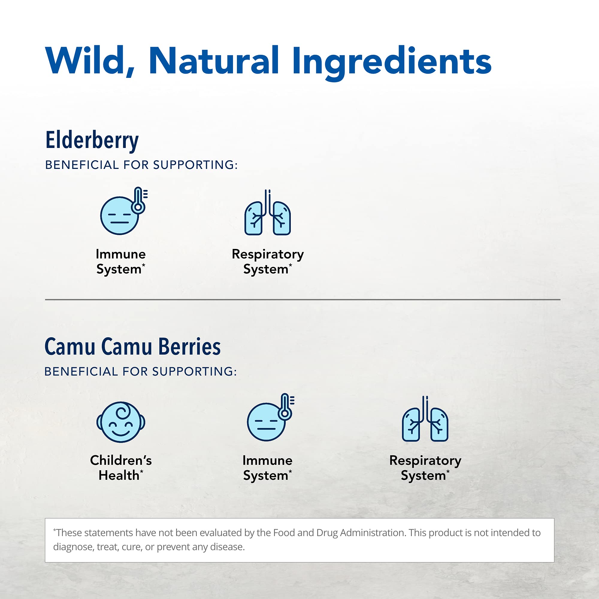 NORTH AMERICAN HERB & SPICE Elder-C, cápsulas para uso diario.