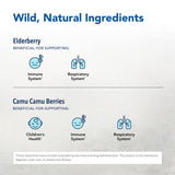 NORTH AMERICAN HERB & SPICE Elder-C, cápsulas para uso diario.