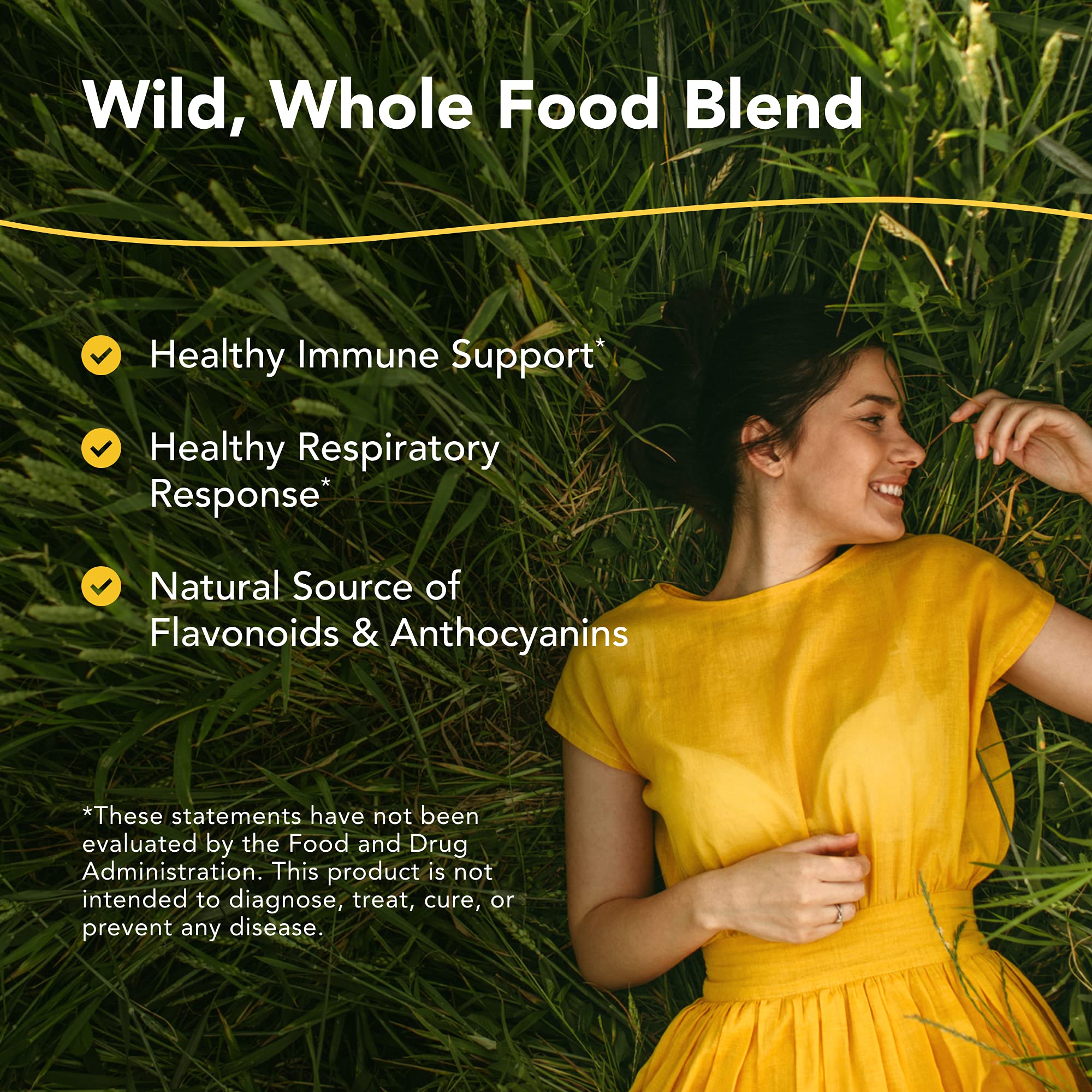NORTH AMERICAN HERB & SPICE Elder-C, etiqueta con beneficios de ingredientes naturales.