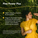 Etiqueta de Pine Power Plus destaca ingredientes naturales para bienestar diario.