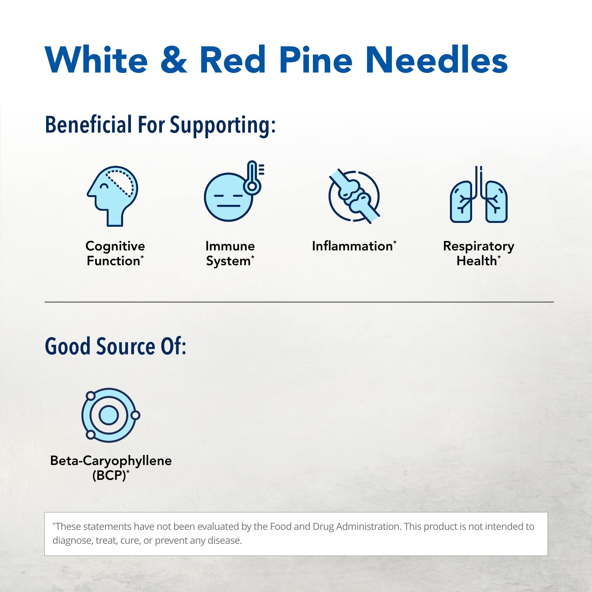 Hojas de pino y agujas en Pine Power Plus, aroma terroso y fresco.