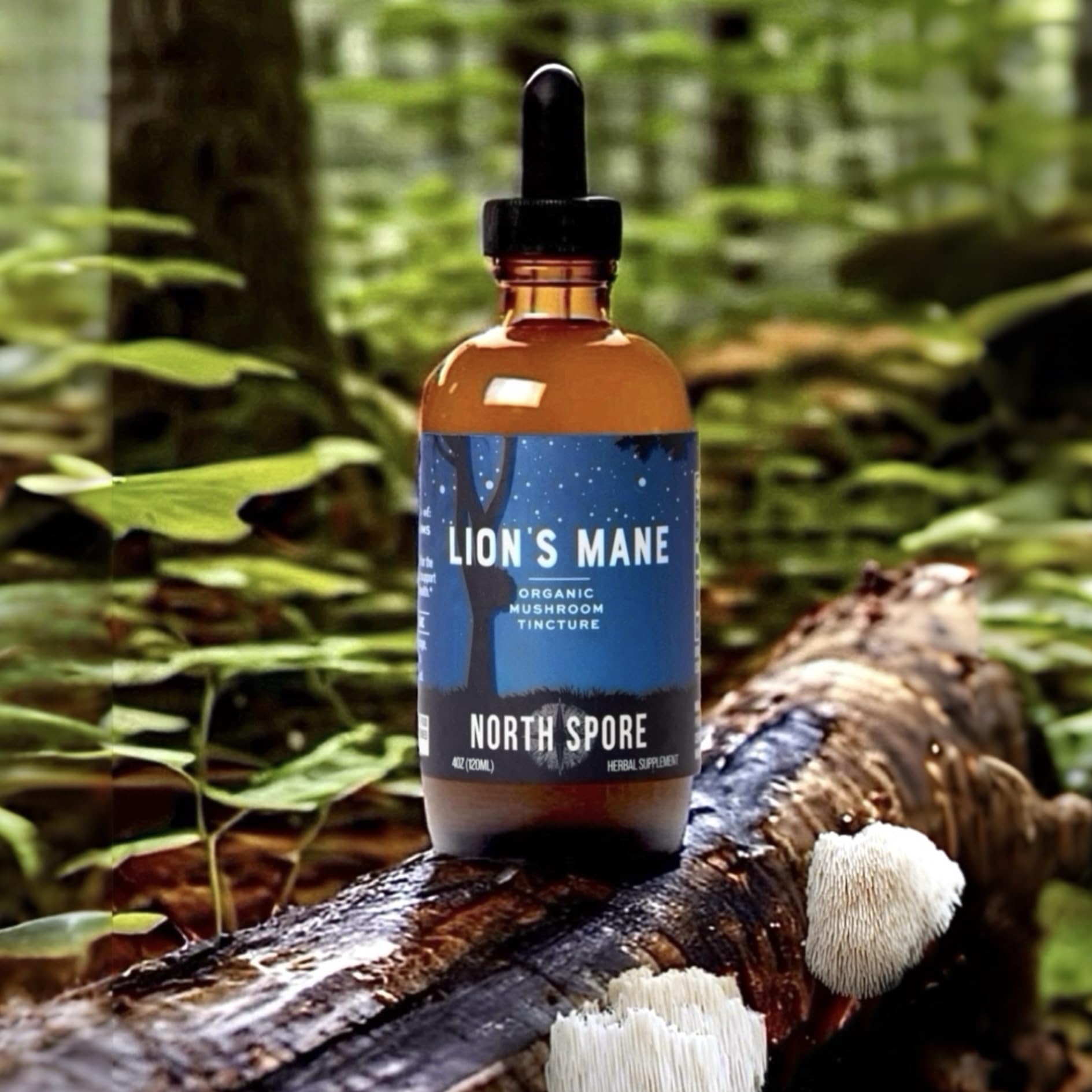 North Spore Melena de León tintura producción en EEUU con normas cgmp.