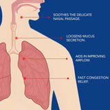 NOVEHA ingredientes-clave: xilitol y D3 para cuidado nasal