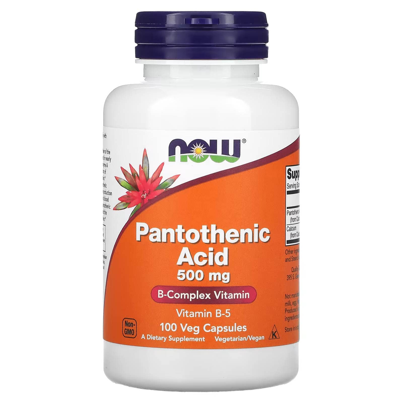 NOW Foods Pantoténico frontal de la botella, posible apoyo al metabolismo saludable.