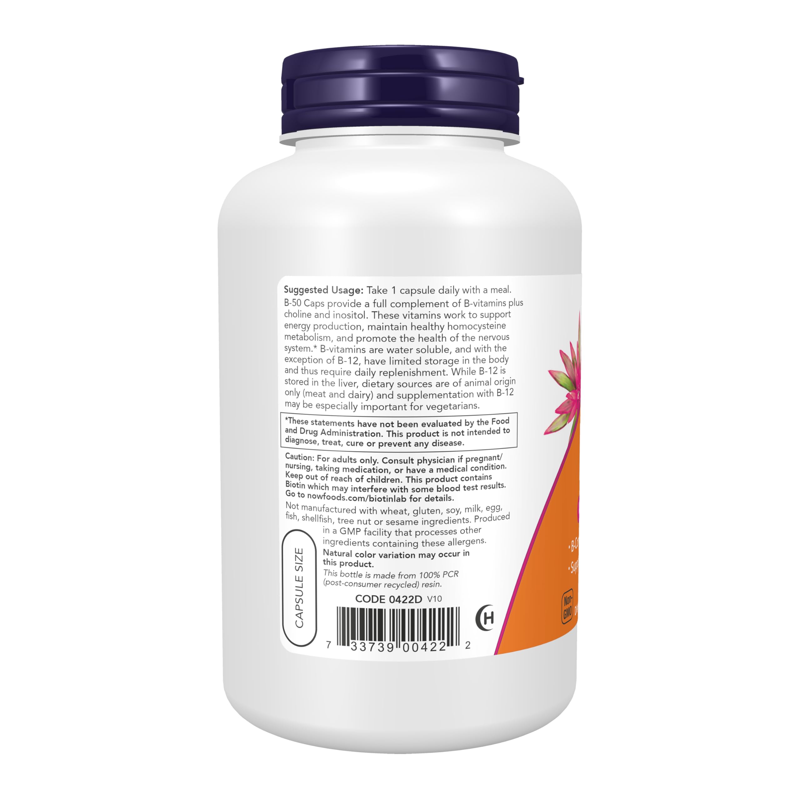 NOW Foods B-50 etiqueta clara que destaca vitaminas B y colina para uso diario.