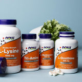 NOW Foods L-Metionina 500 mg GMP: certificado GMP A de NPA