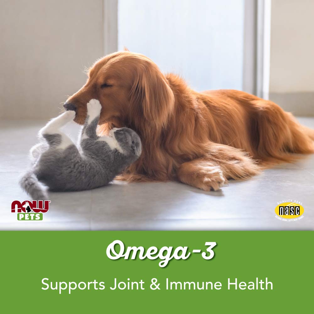 Gatos y perros usan NOW Pets Omega-3 Mini Gel para bienestar diario.