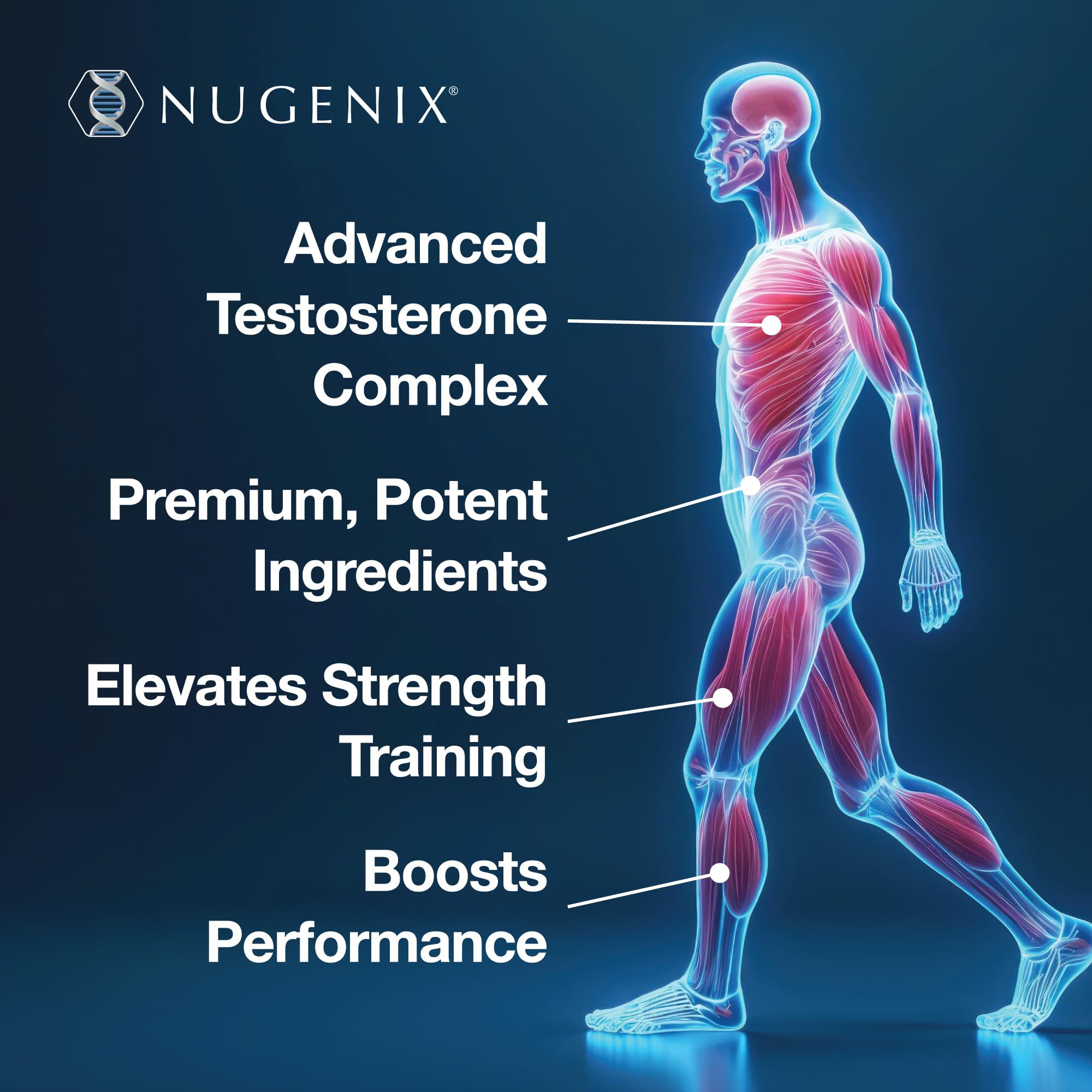 Nugenix Ultimate: ingredients clave destacando composición