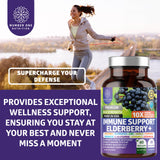 Number One Nutrition N1N Premium zinc y vitamina C para apoyo diario