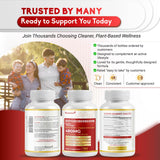 NUSORAN Té-verde - extracto: frescura natural y vitalidad sostenida.