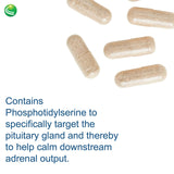 Nutra BioGenesis AdrenoActive rutina nocturna, favorece un ciclo circadiano estable.