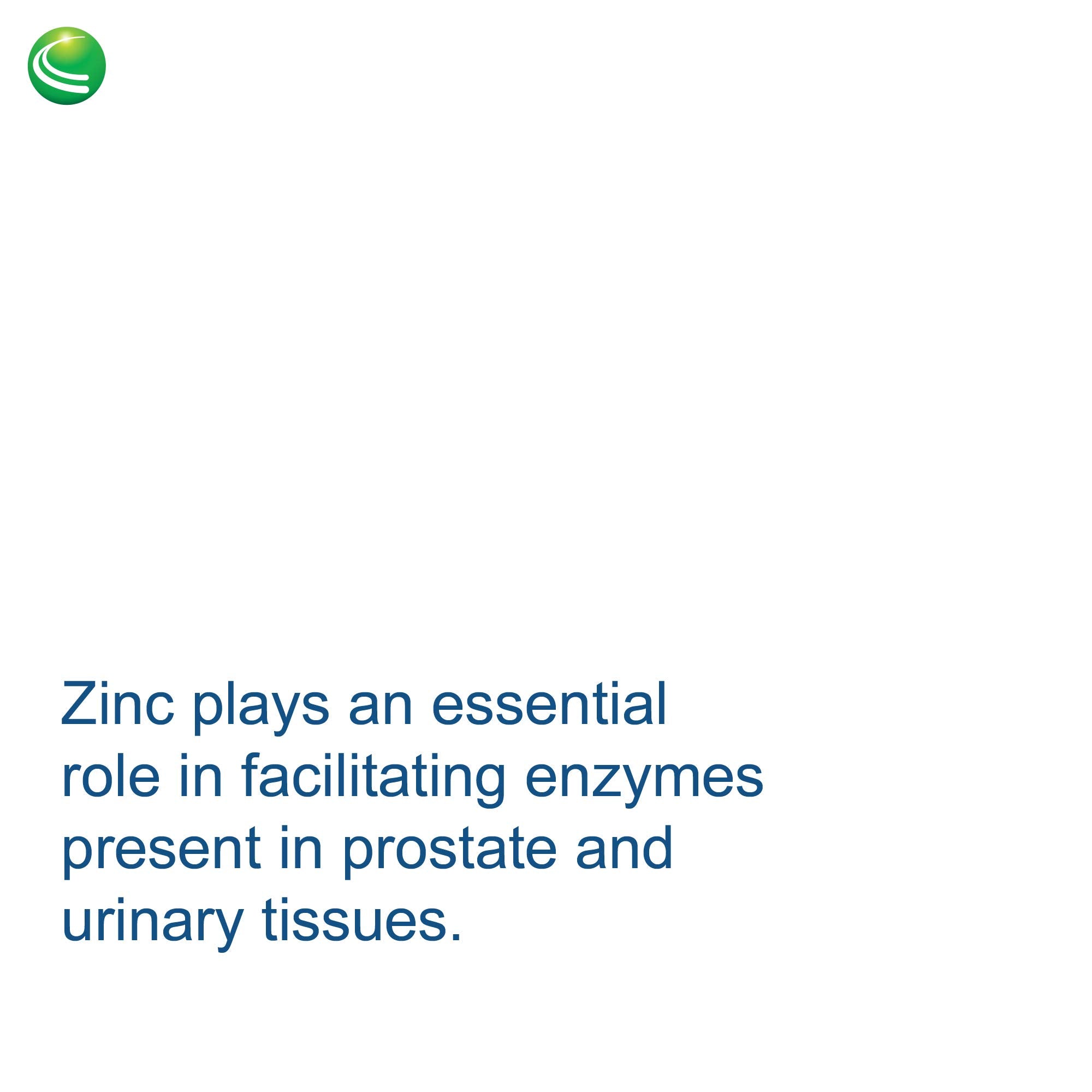 BioProstate de Nutra BioGenesis – dosificación diaria, conveniente para la rutina de hombres.