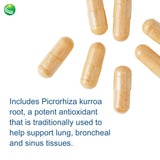 Boswellia y NAC presentes en Nutra BioGenesis Factores Pulmonares.