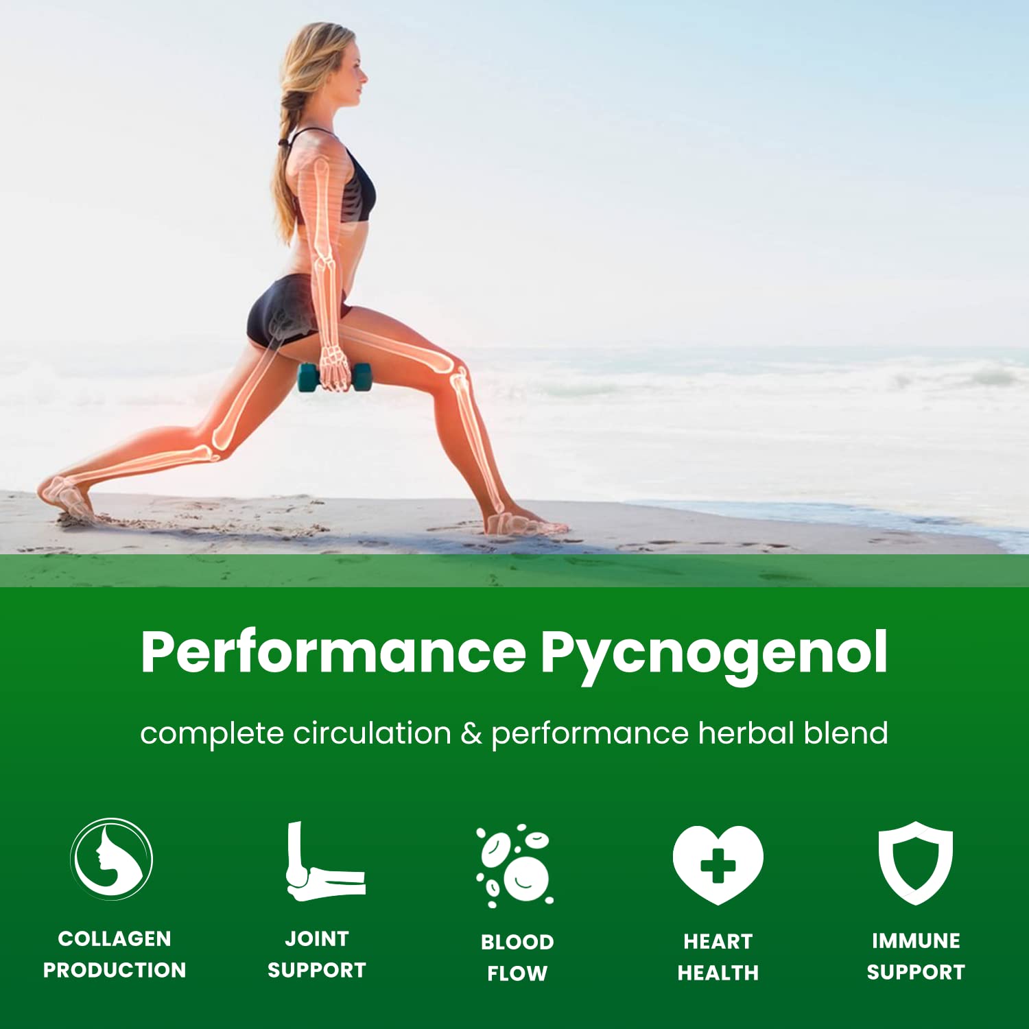 NutraChamps Pycnogenol - ingredientes clave: extracto de pino marítimo francés, remolacha y pimienta negra