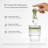 NutraChamps Super Greens, polvo verde destacado, fácil de mezclar para empezar el día.