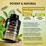 Nutraharmony Ashwagandha con withanolides 2.5%: consistencia en cada toma.