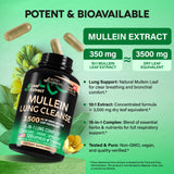 NUTRAHARMONY Mullein Capsules, mezcla de ingredientes herbales para detox y bienestar.