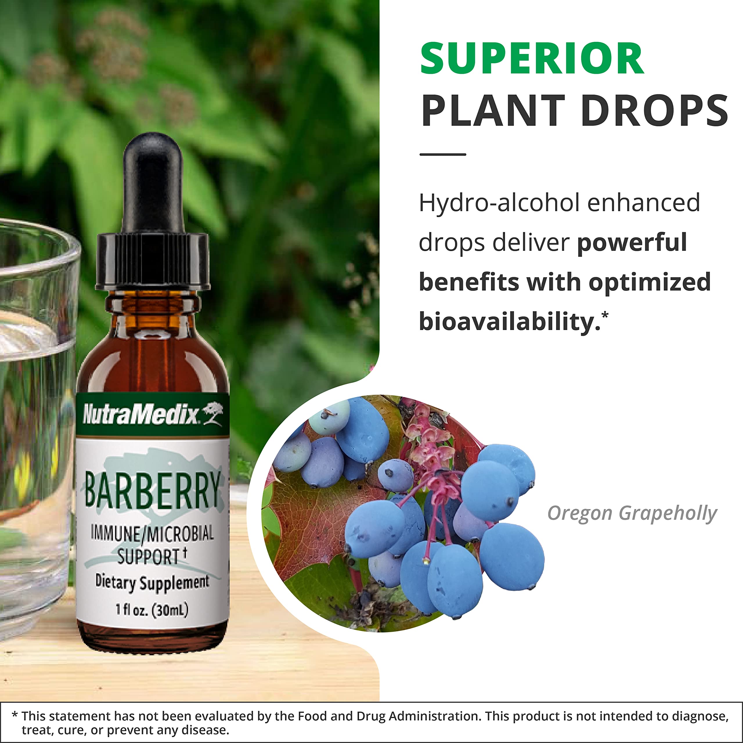 NutraMedix Barberry ingredientes-naturales: muestra componentes para bienestar diario.