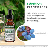 NutraMedix Barberry ingredientes-naturales: muestra componentes para bienestar diario.