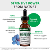 NutraMedix Barberry raiz-uva-oregon: extracto para apoyo digestivo.