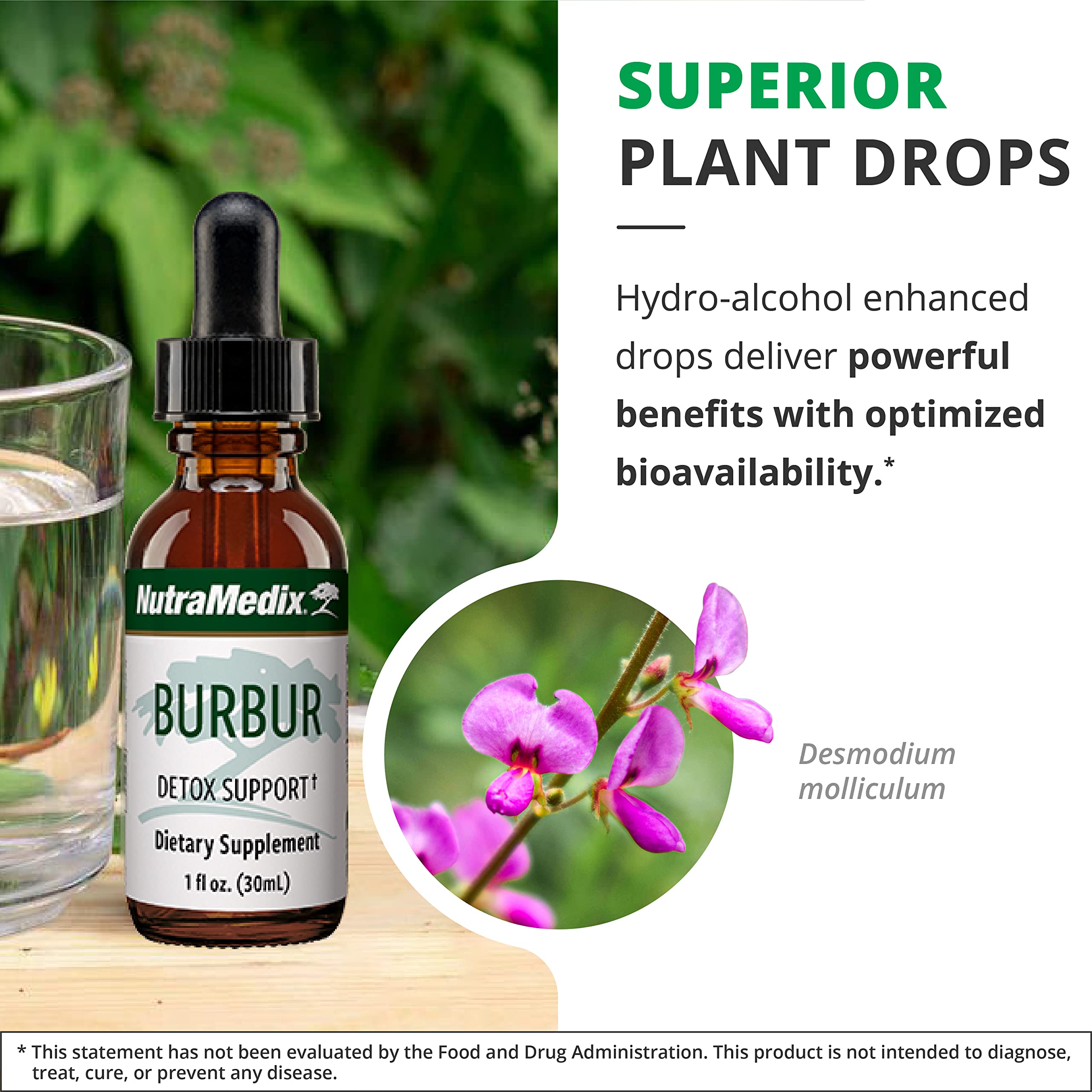 NutraMedix Burbur Hojas Ramas: origen en la selva peruana para apoyo antioxidante.