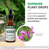 NutraMedix Burbur Hojas Ramas: origen en la selva peruana para apoyo antioxidante.