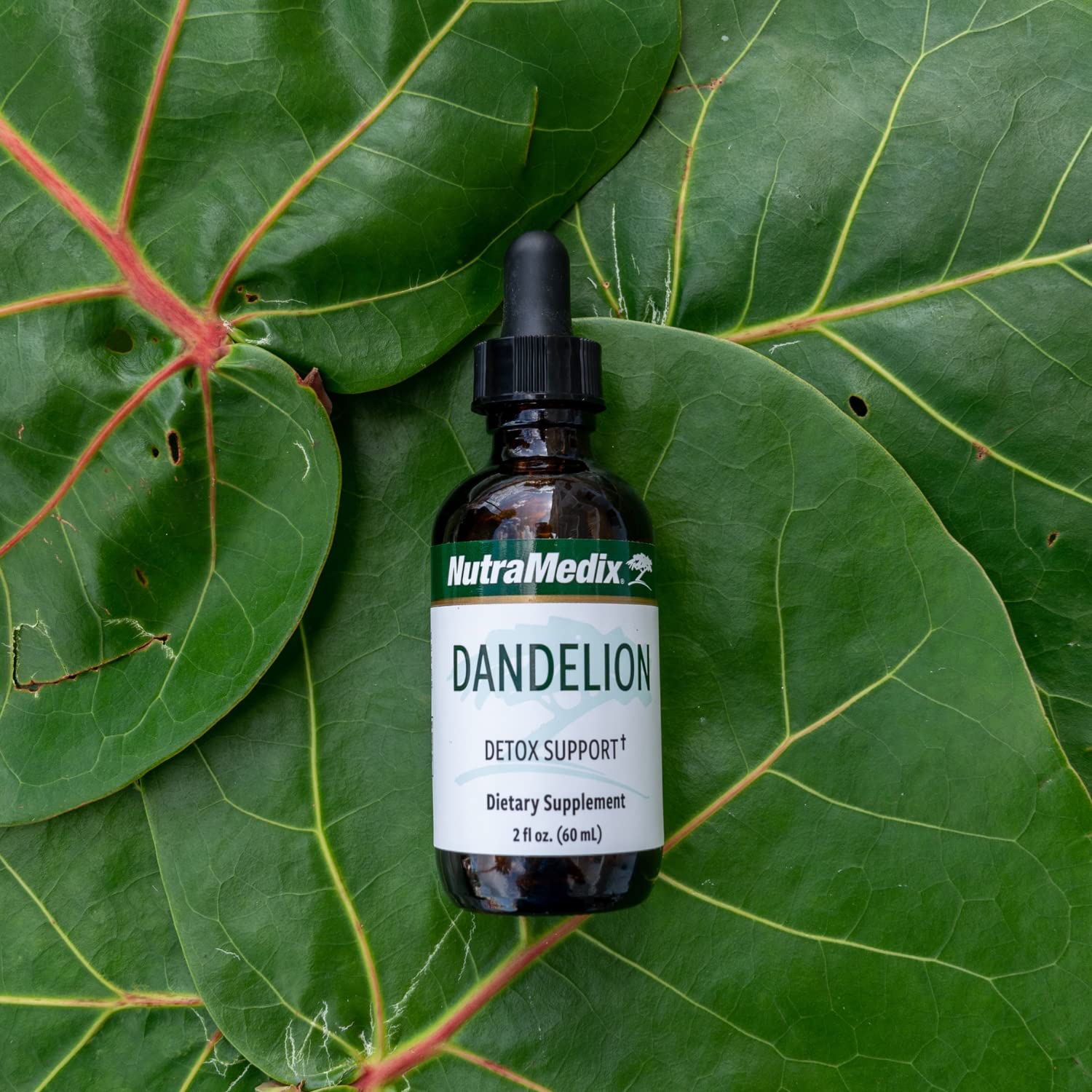 NutraMedix Diente de León, uso diario sencillo y práctico.