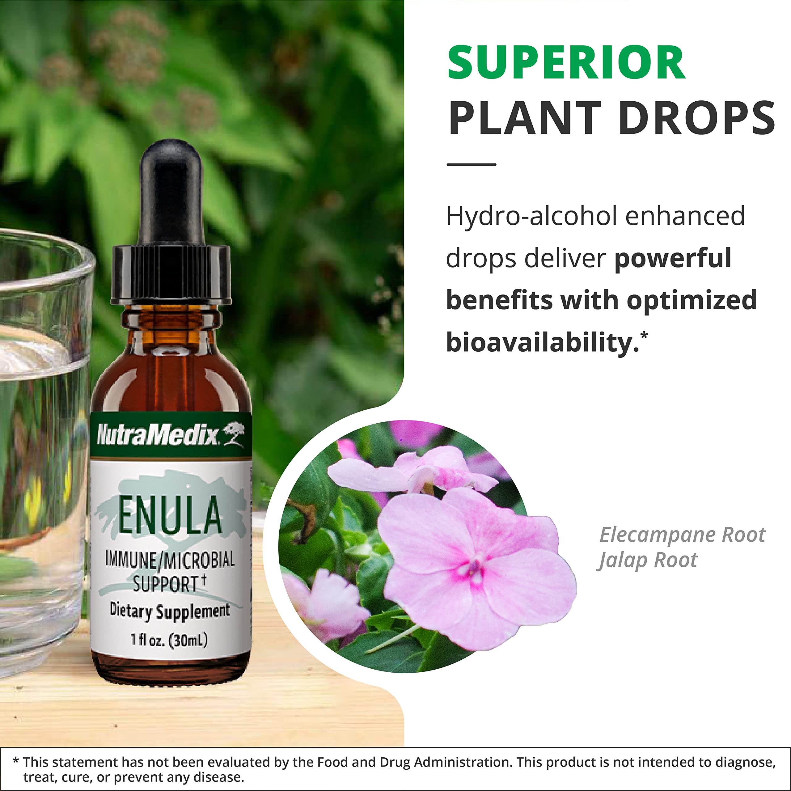 NutraMedix Enula: dosis medida facilita incorporar antioxidantes a la rutina.