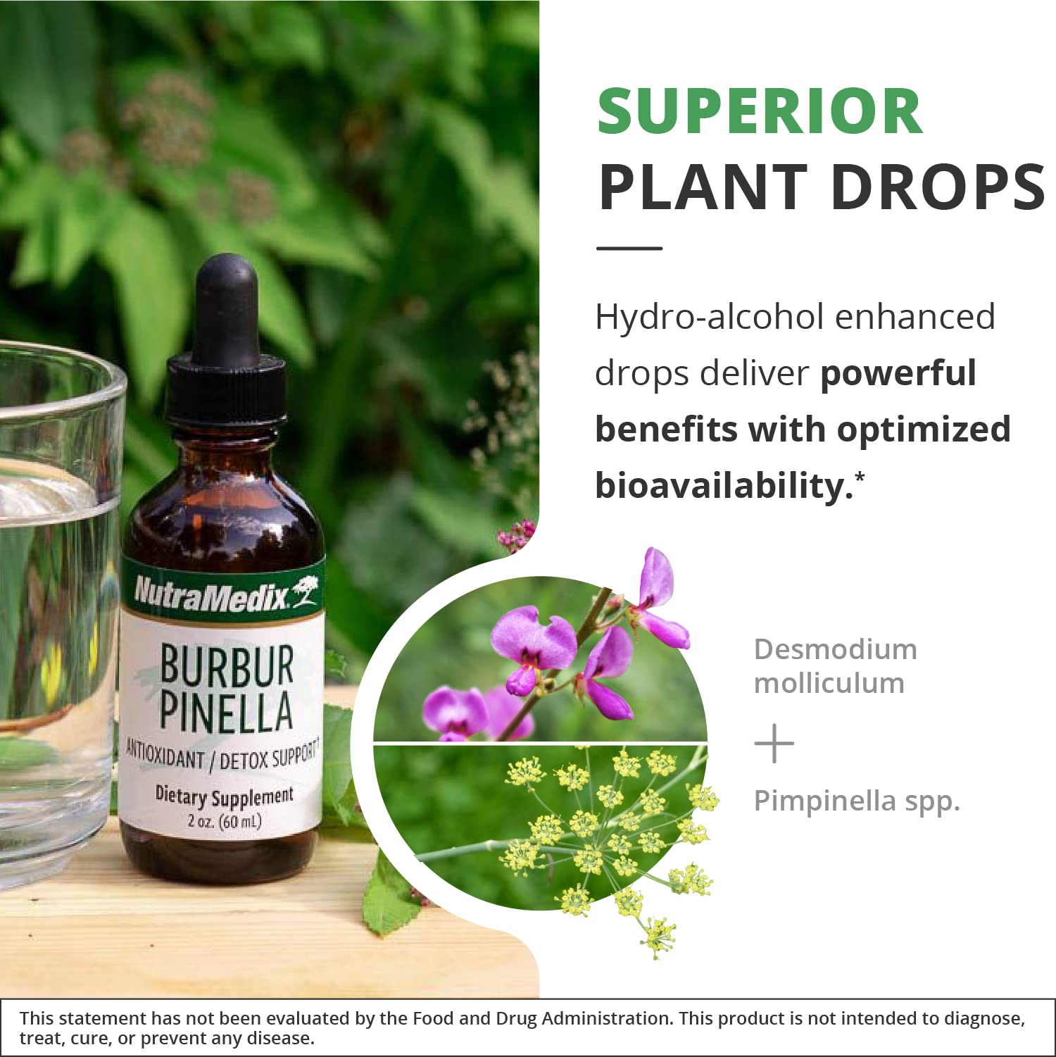 NutraMedix fórmula vegana de alta biodisponibilidad para absorción eficiente.