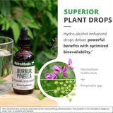 NutraMedix fórmula vegana de alta biodisponibilidad para absorción eficiente.