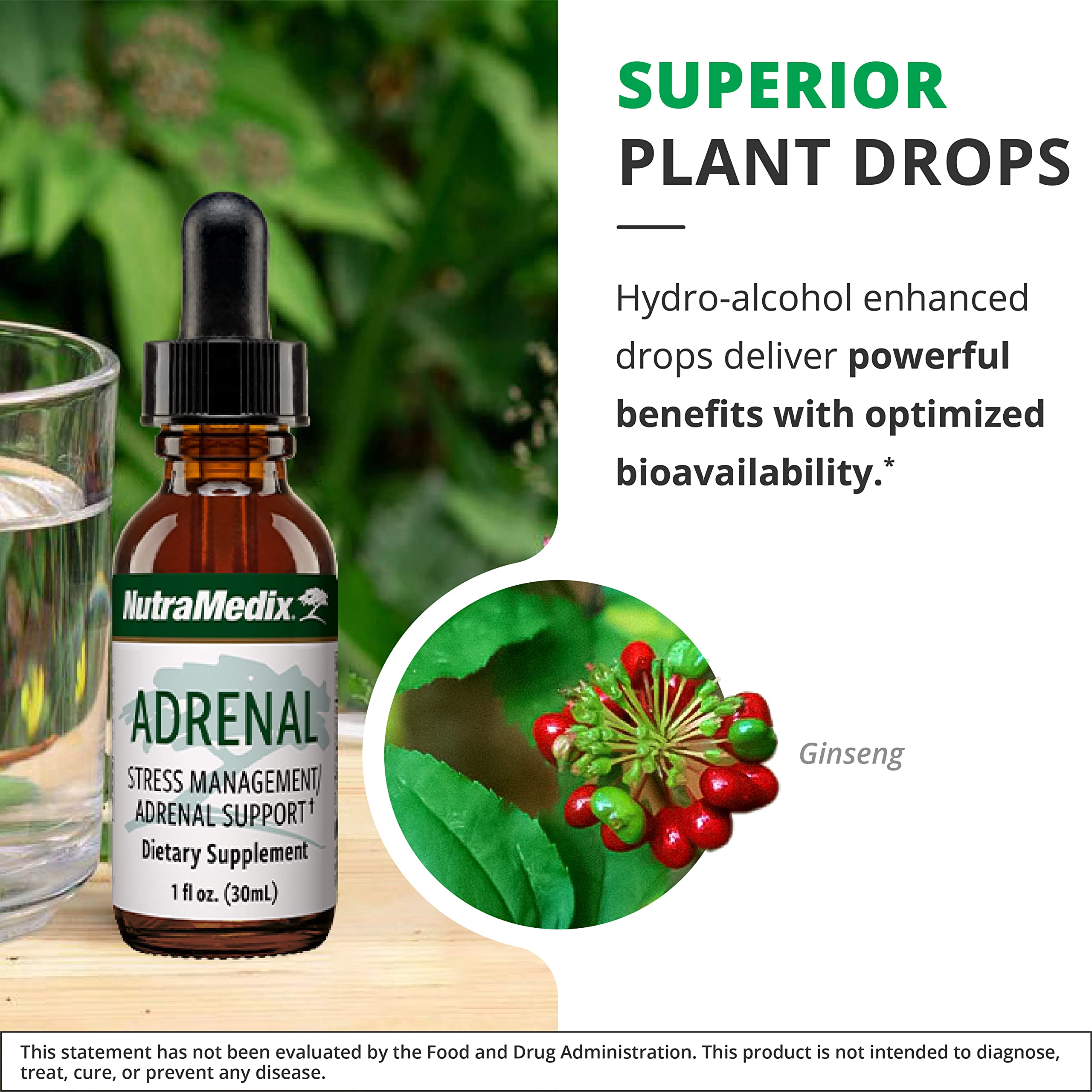 NutraMedix Ginseng Extracto, cápsulas, antioxidante natural para bienestar.