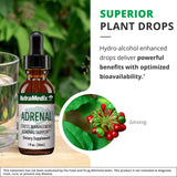 NutraMedix Ginseng Extracto, cápsulas, antioxidante natural para bienestar.