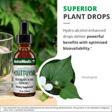 NutraMedix Houttuynia gotas detox — ayuda a detox suave.