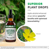 NutraMedix Natural Boost para Hombres, maca raíz para resistencia diaria.