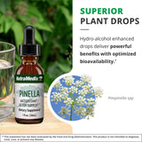 NutraMedix Pinella: empaque compacto para llevar en la bolsa.