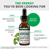 NutraMedix Schisandra Fruta Extracto, hierbas, equilibrio y resistencia.